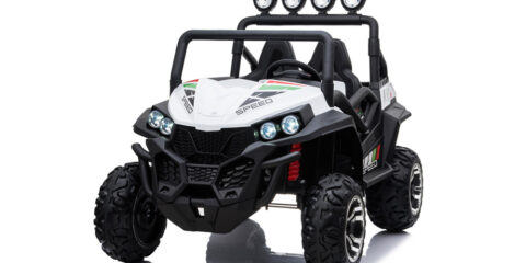 12v electric buggy