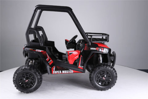 24v electric UTV